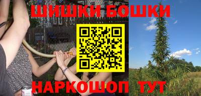 бошки Будённовск