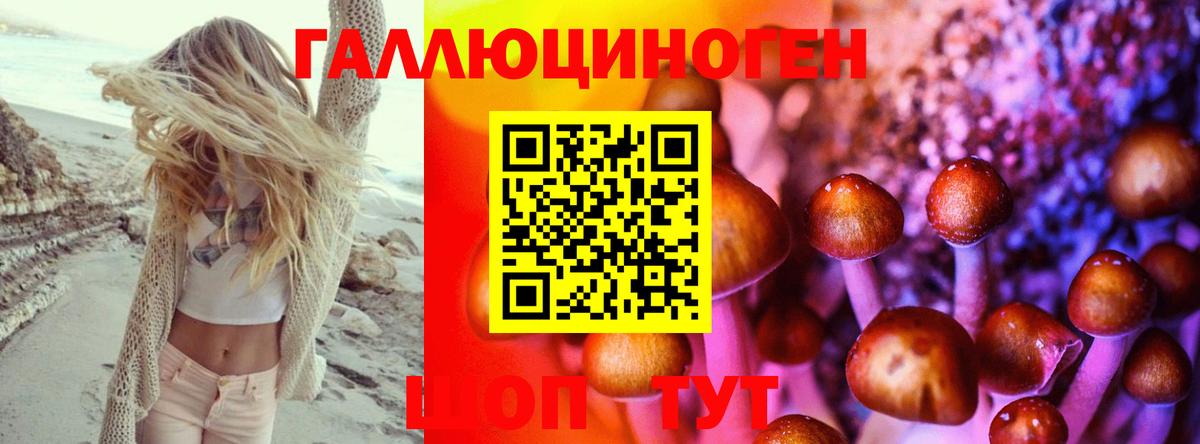Псилоцибиновые грибы Cubensis Татарск