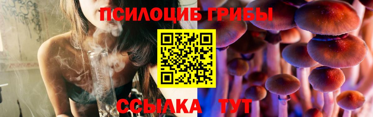 Псилоцибиновые грибы мухоморы  наркошоп  Татарск  Вход с VPN 